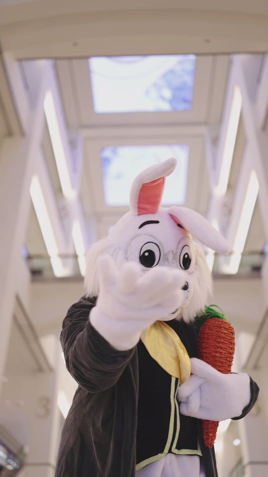 The Bunny at 900 North Michigan Shops